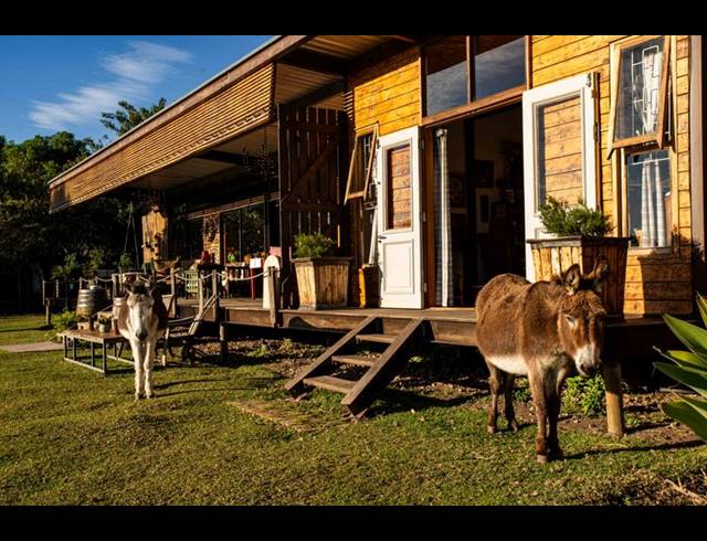 FARM FOR SALE IN THE CRAGS